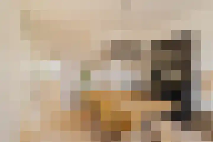 Akkerdistel 13 Rotterdam thumbnail 11