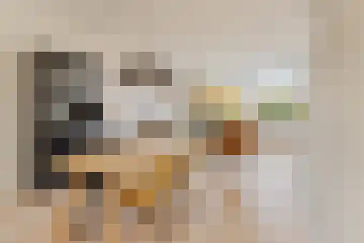 Akkerdistel 13 Rotterdam thumbnail 17