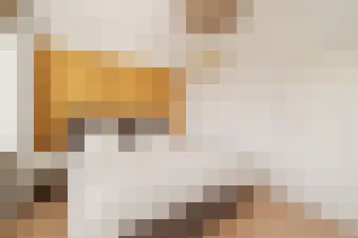 Akkerdistel 13 Rotterdam thumbnail 18
