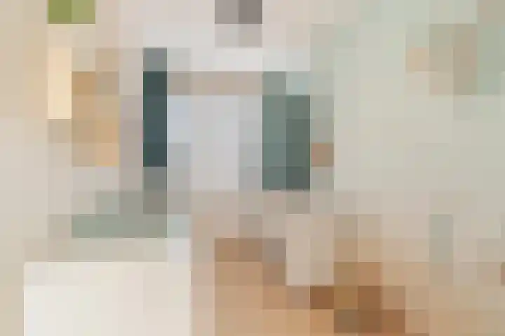 Akkerdistel 13 Rotterdam thumbnail 22