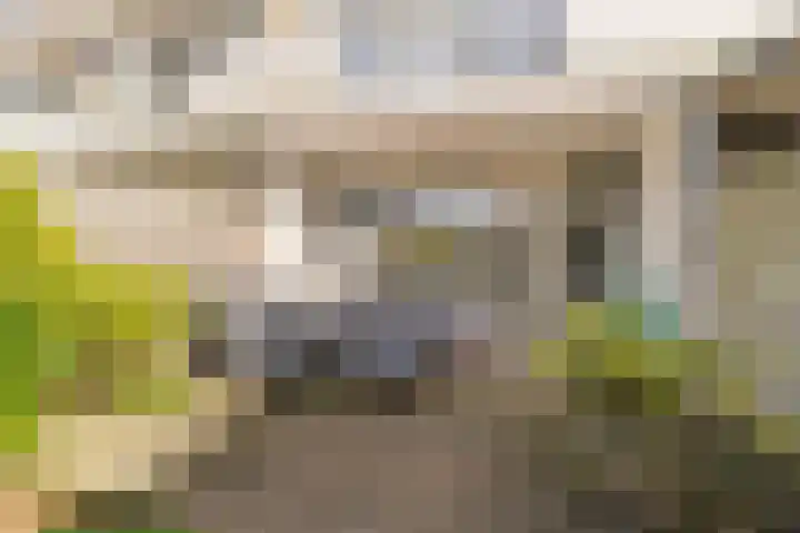 Akkerdistel 13 Rotterdam thumbnail 31