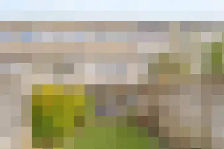 Akkerdistel 13 Rotterdam thumbnail 32
