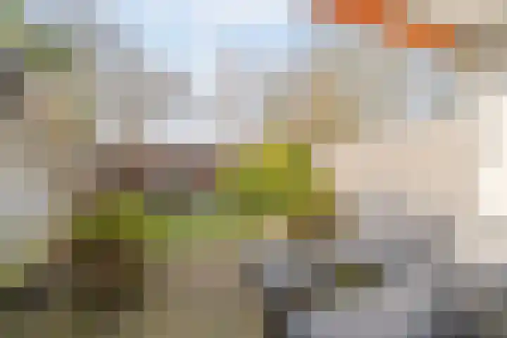 Akkerdistel 13 Rotterdam thumbnail 33