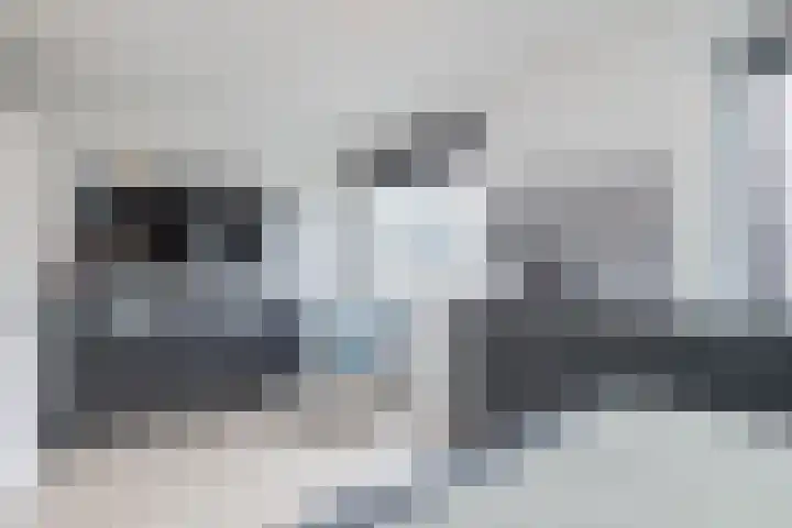 Akkerdistel 13 Rotterdam thumbnail 34