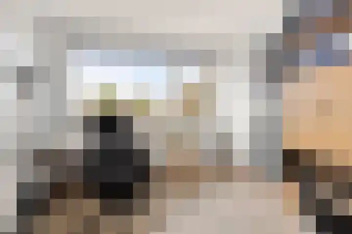 Akkerdistel 13 Rotterdam thumbnail 38