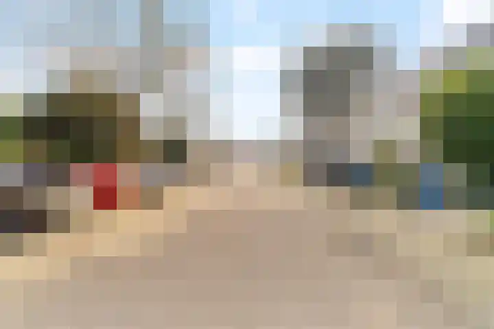 Akkerdistel 13 Rotterdam thumbnail 39