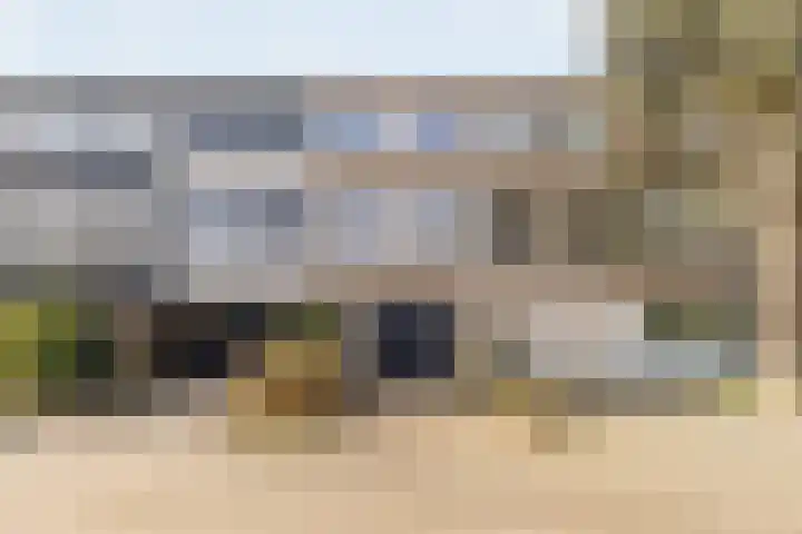 Akkerdistel 13 Rotterdam thumbnail 41