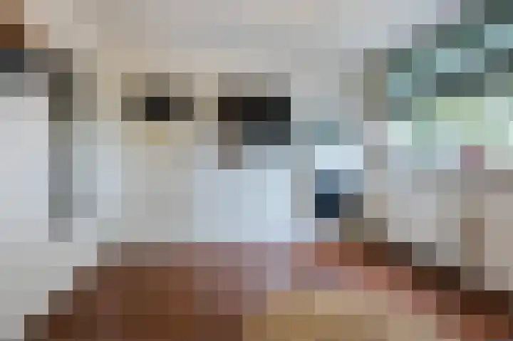 Akkerdistel 13 Rotterdam thumbnail 5