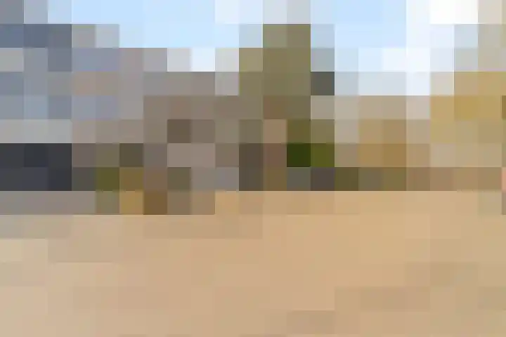 Akkerdistel 13 Rotterdam thumbnail 5
