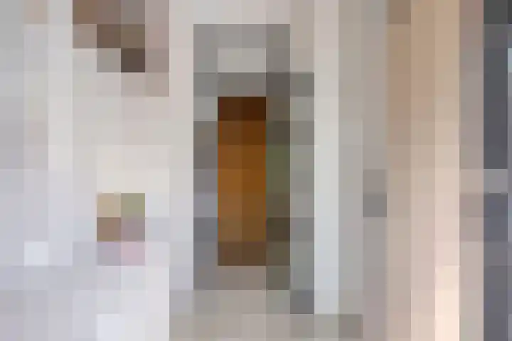 Akkerdistel 15 Rotterdam thumbnail 11