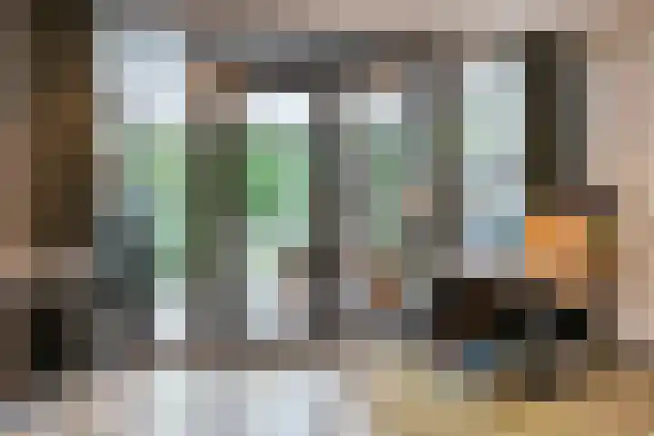 Akkerdistel 15 Rotterdam thumbnail 14