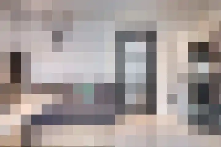 Akkerdistel 15 Rotterdam thumbnail 15