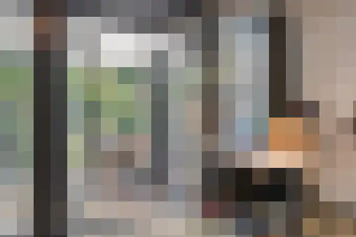 Akkerdistel 15 Rotterdam thumbnail 16