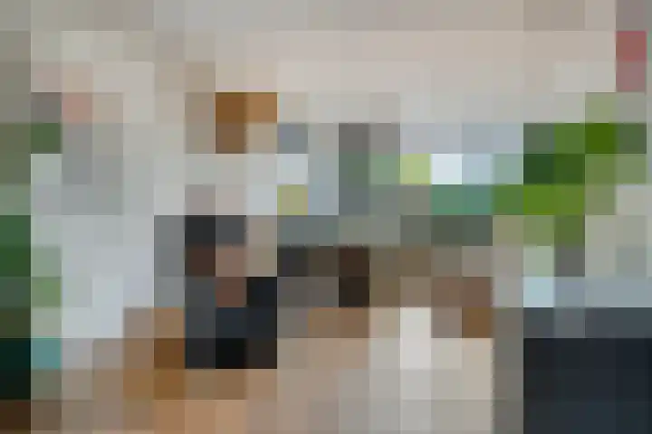 Akkerdistel 15 Rotterdam thumbnail 19