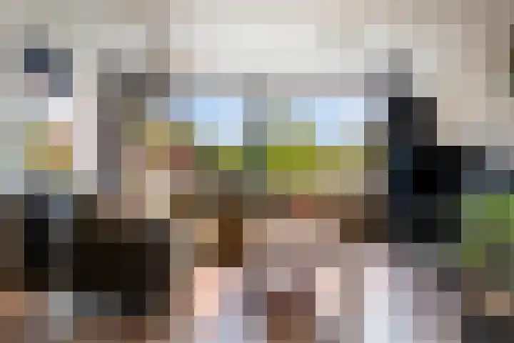 Akkerdistel 15 Rotterdam thumbnail 20