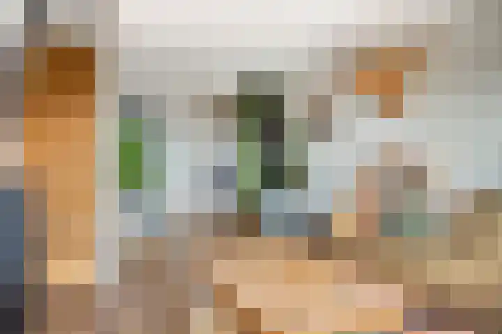 Akkerdistel 15 Rotterdam thumbnail 21
