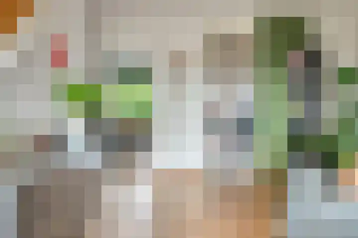 Akkerdistel 15 Rotterdam thumbnail 22