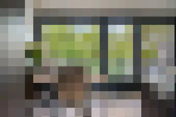 Akkerdistel 15 Rotterdam thumbnail 23