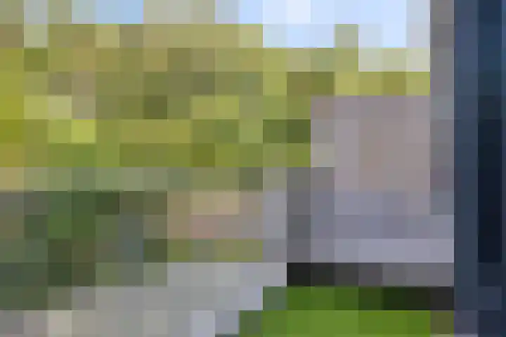 Akkerdistel 15 Rotterdam thumbnail 27