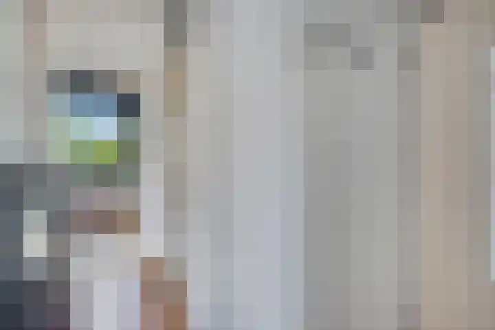 Akkerdistel 15 Rotterdam thumbnail 30