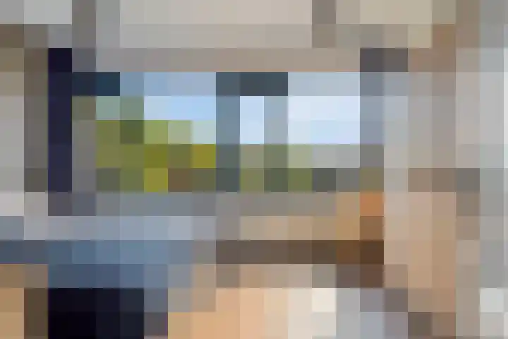 Akkerdistel 15 Rotterdam thumbnail 31