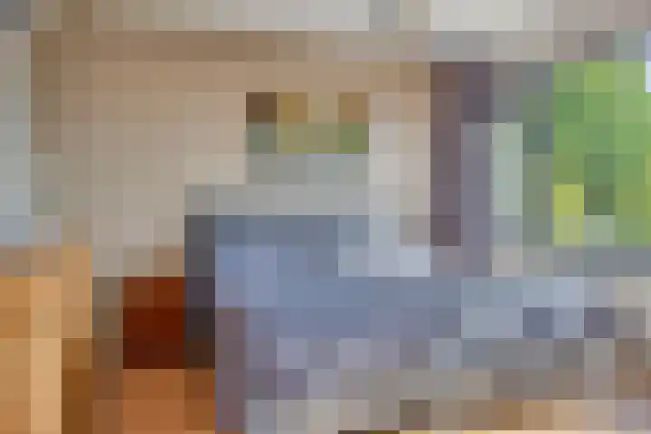 Akkerdistel 15 Rotterdam thumbnail 32