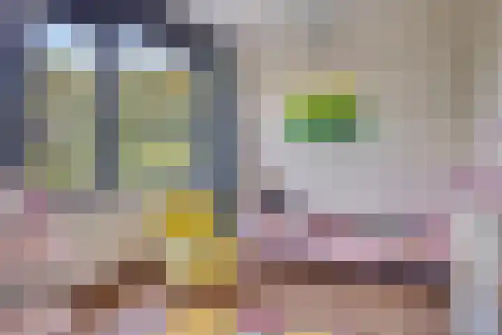 Akkerdistel 15 Rotterdam thumbnail 34
