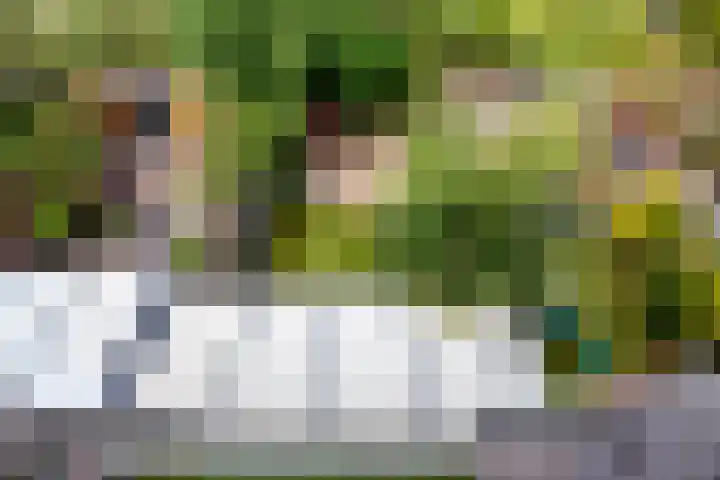 Akkerdistel 15 Rotterdam thumbnail 4