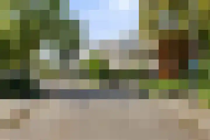 Akkerdistel 15 Rotterdam thumbnail 40