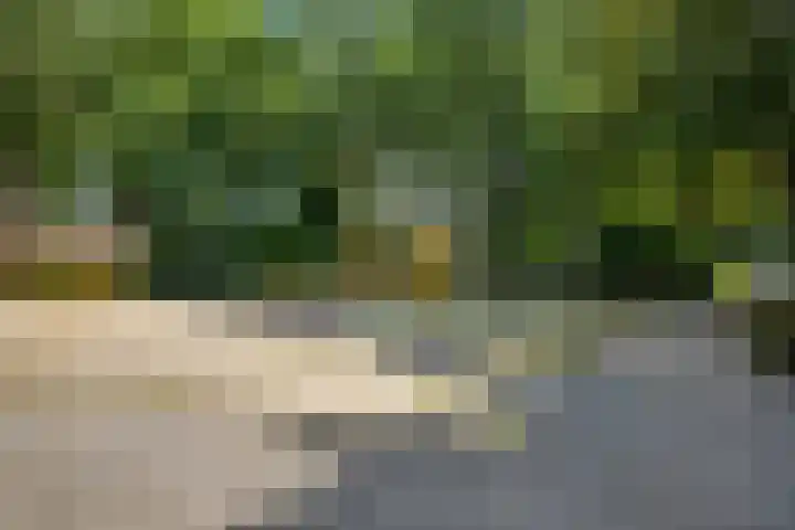 Akkerdistel 15 Rotterdam thumbnail 41