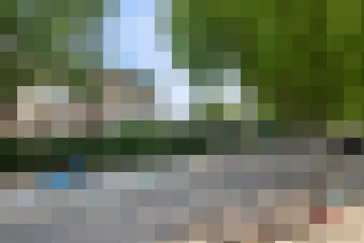 Akkerdistel 15 Rotterdam thumbnail 43