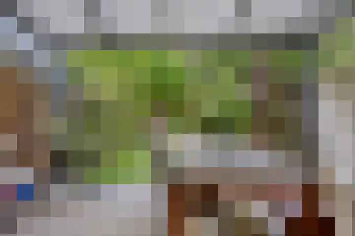Akkerdistel 15 Rotterdam thumbnail 5