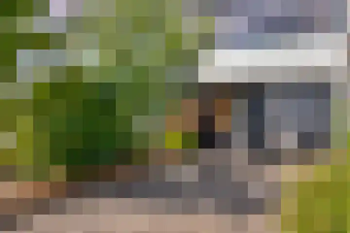 Akkerdistel 15 Rotterdam thumbnail 8