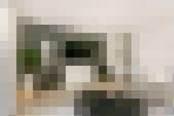Akkerdistel 2 De Meern thumbnail 10