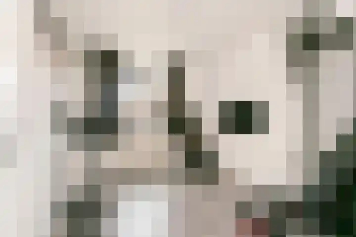 Akkerdistel 2 De Meern thumbnail 16