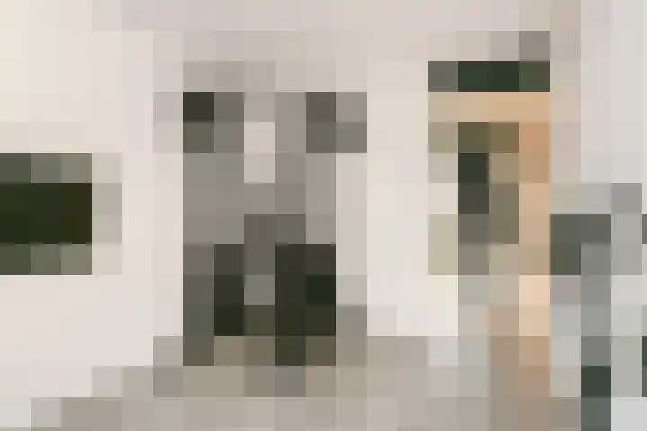Akkerdistel 2 De Meern thumbnail 17