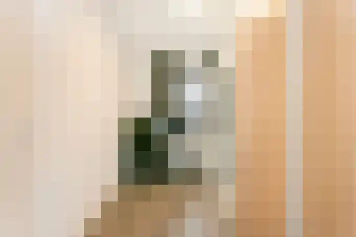 Akkerdistel 2 De Meern thumbnail 18