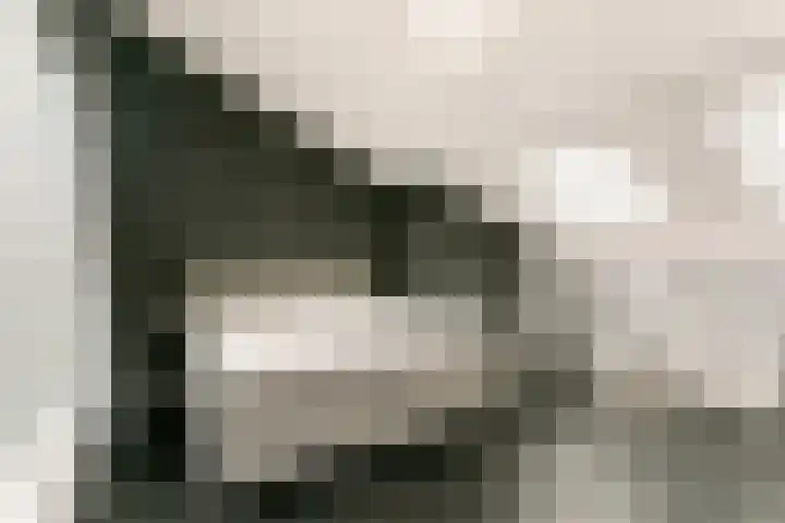 Akkerdistel 2 De Meern thumbnail 25