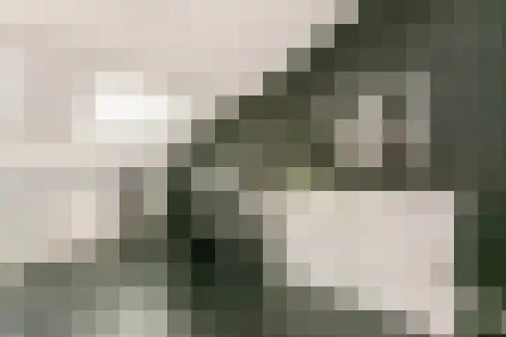 Akkerdistel 2 De Meern thumbnail 26