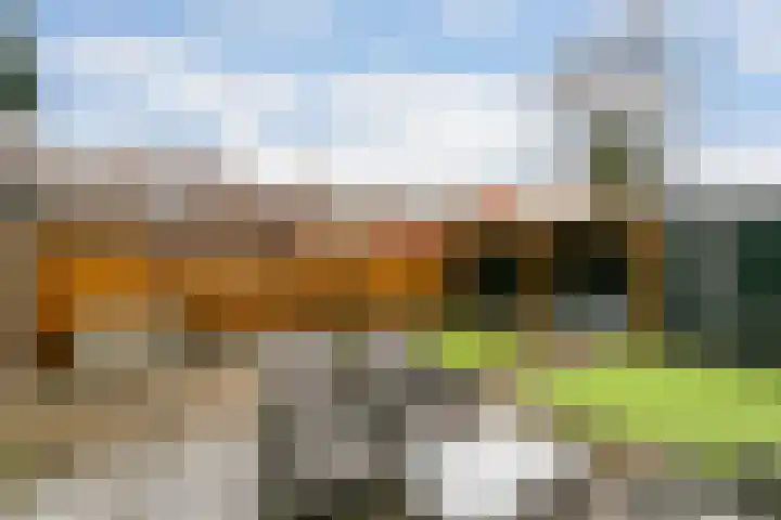 Akkerdistel 2 De Meern thumbnail 27