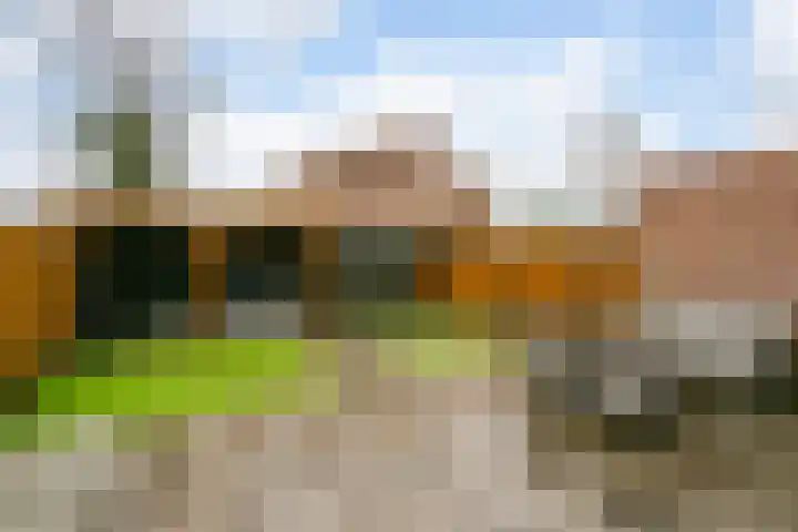 Akkerdistel 2 De Meern thumbnail 28