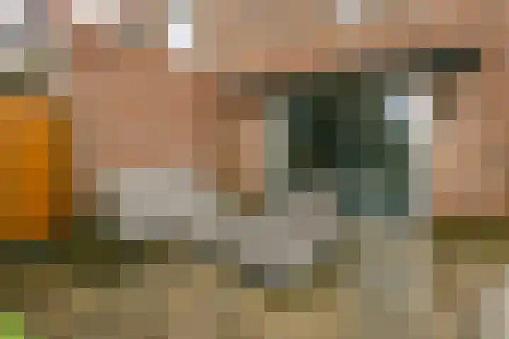 Akkerdistel 2 De Meern thumbnail 29