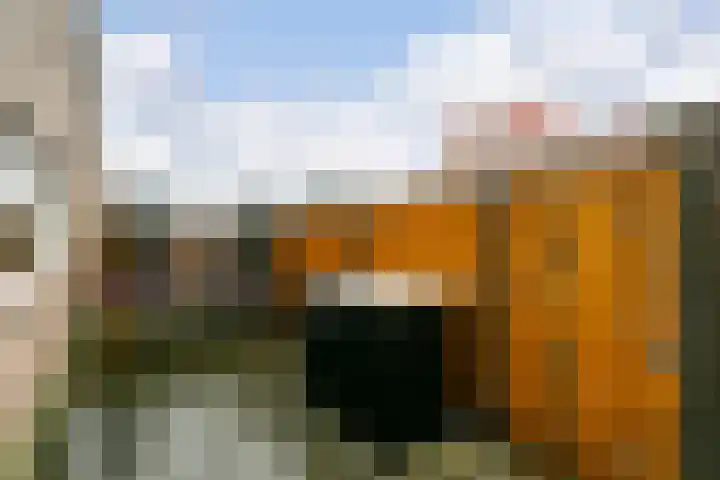 Akkerdistel 2 De Meern thumbnail 32