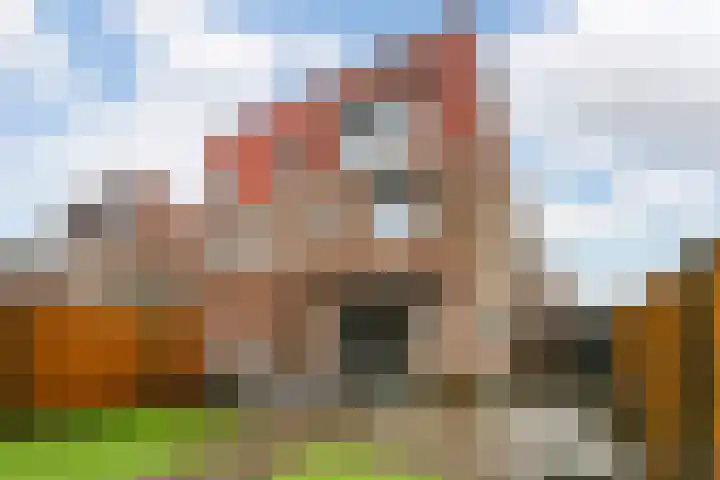 Akkerdistel 2 De Meern thumbnail 33