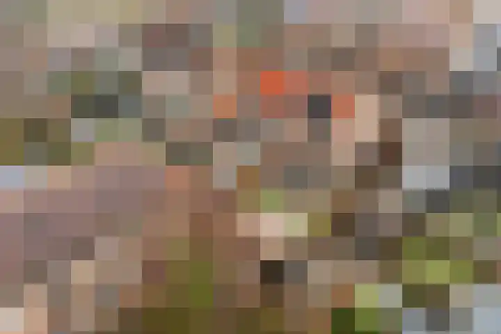 Akkerdistel 2 De Meern thumbnail 34
