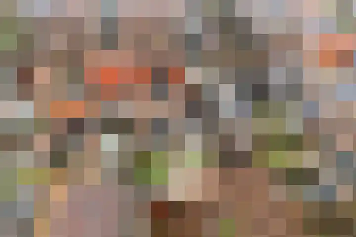Akkerdistel 2 De Meern thumbnail 35