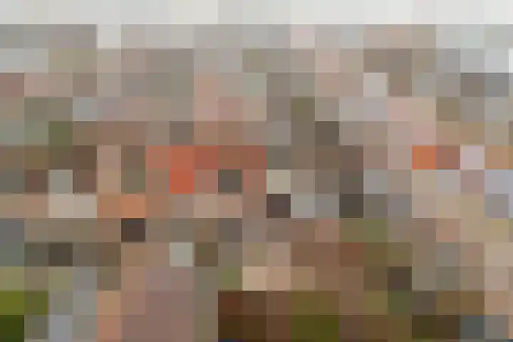 Akkerdistel 2 De Meern thumbnail 36