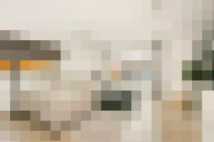 Akkerdistel 2 De Meern thumbnail 4