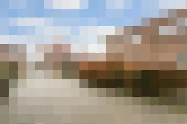 Akkerdistel 2 De Meern thumbnail 40
