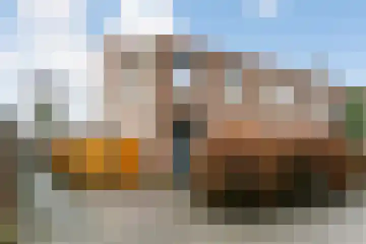 Akkerdistel 2 De Meern thumbnail 42